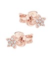 Star Silver Stud Earring STS-6968